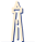 Aliante